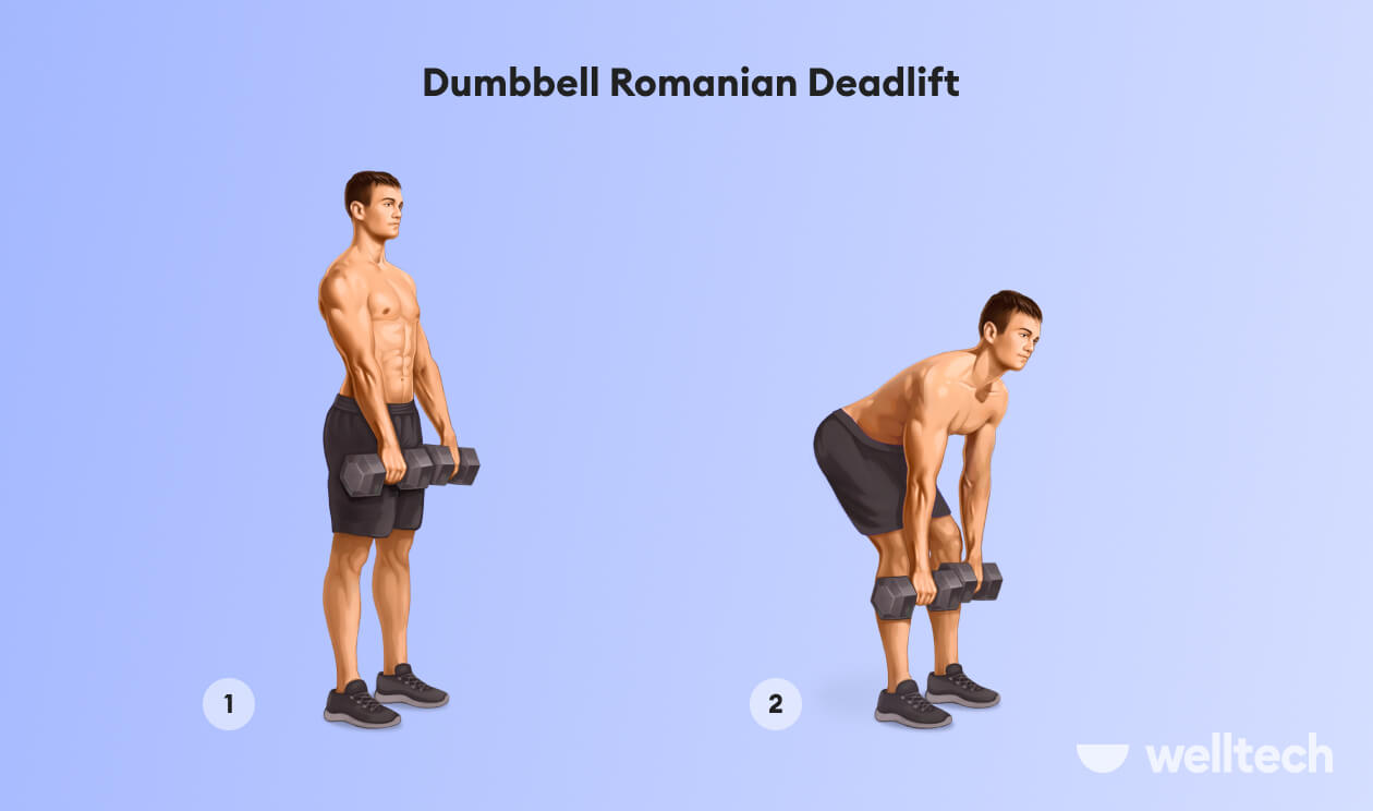 https://welltechdev.wpengine.com/wp-content/uploads/2022/11/5.-Dumbbell-Romanian-Deadlift_dumbbell-glute-exercises.jpg