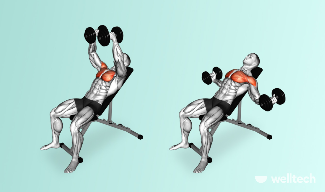 https://welltechdev.wpengine.com/wp-content/uploads/2022/09/dumbbell-chest-fly_chest-and-bicep-workout.jpg