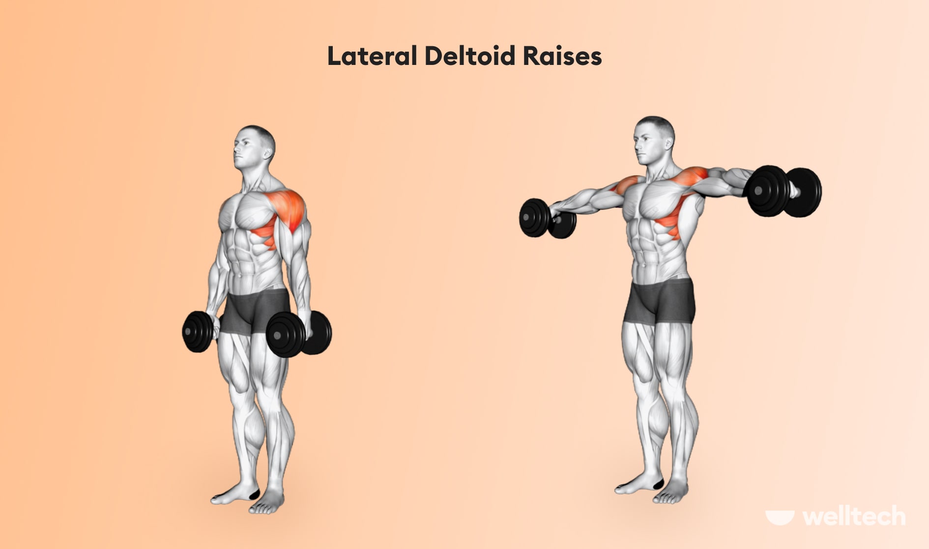 https://welltechdev.wpengine.com/wp-content/uploads/2022/12/Lateral-Deltoid-Raises_chest-and-shoulder-workout.jpg