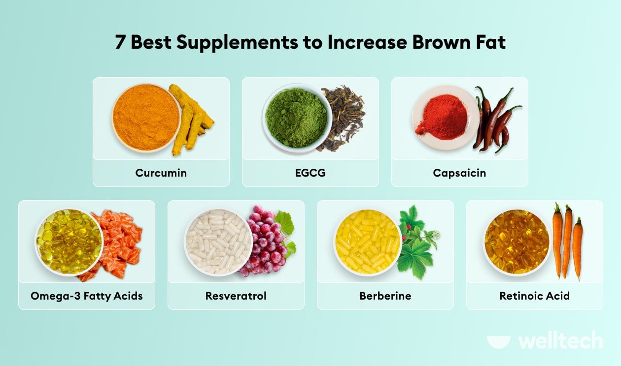 https://welltechdev.wpengine.com/wp-content/uploads/2023/06/best-supplements-to-increase-brown-fat.jpg