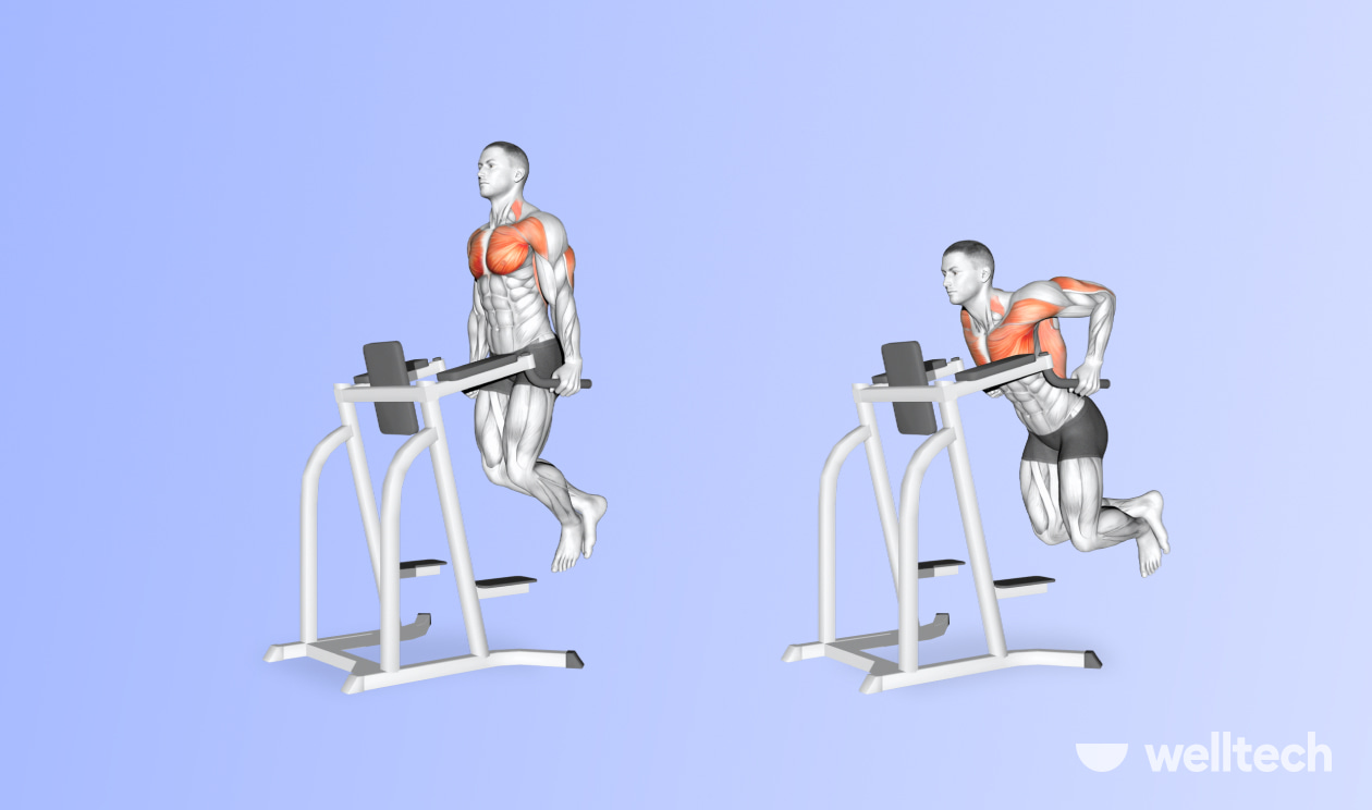 https://welltechdev.wpengine.com/wp-content/uploads/2022/09/chest-dips-on-a-captains-chair_what-muscles-do-dips-work.jpg