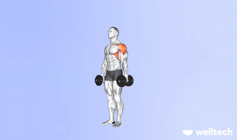 https://welltechdev.wpengine.com/wp-content/uploads/2023/09/dumbbell_lateral_raises_push-workouts.webp
