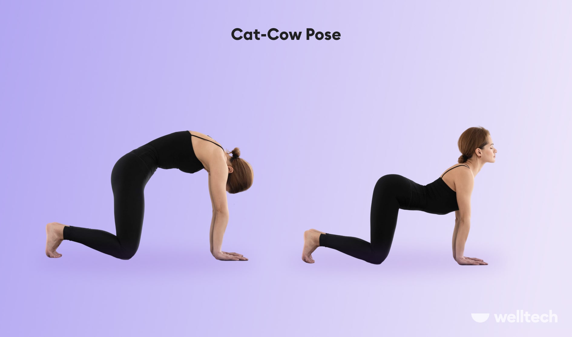 https://welltechdev.wpengine.com/wp-content/uploads/2023/01/Cat-Cow-Pose_shoulder-yoga-poses.jpg