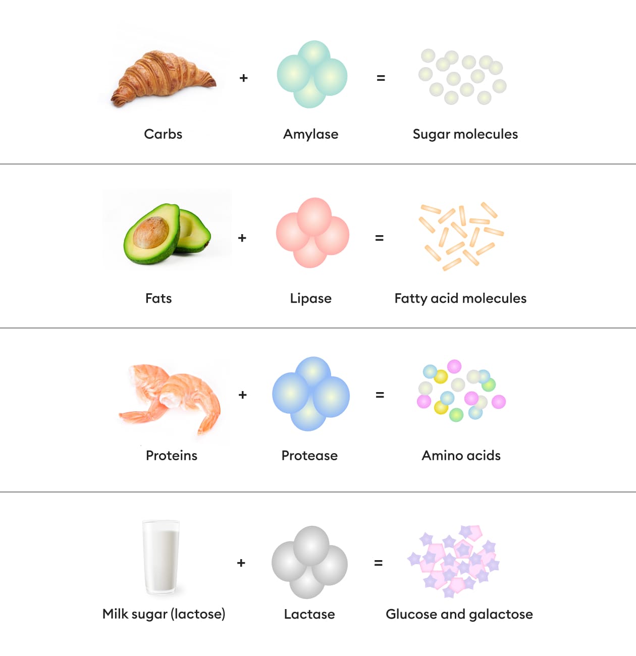 https://welltechdev.wpengine.com/wp-content/uploads/2022/12/Types-of-Digestive-Enzymes-and-Their-Effects_Digestive-Enzymes-For-Weight-Loss.jpg