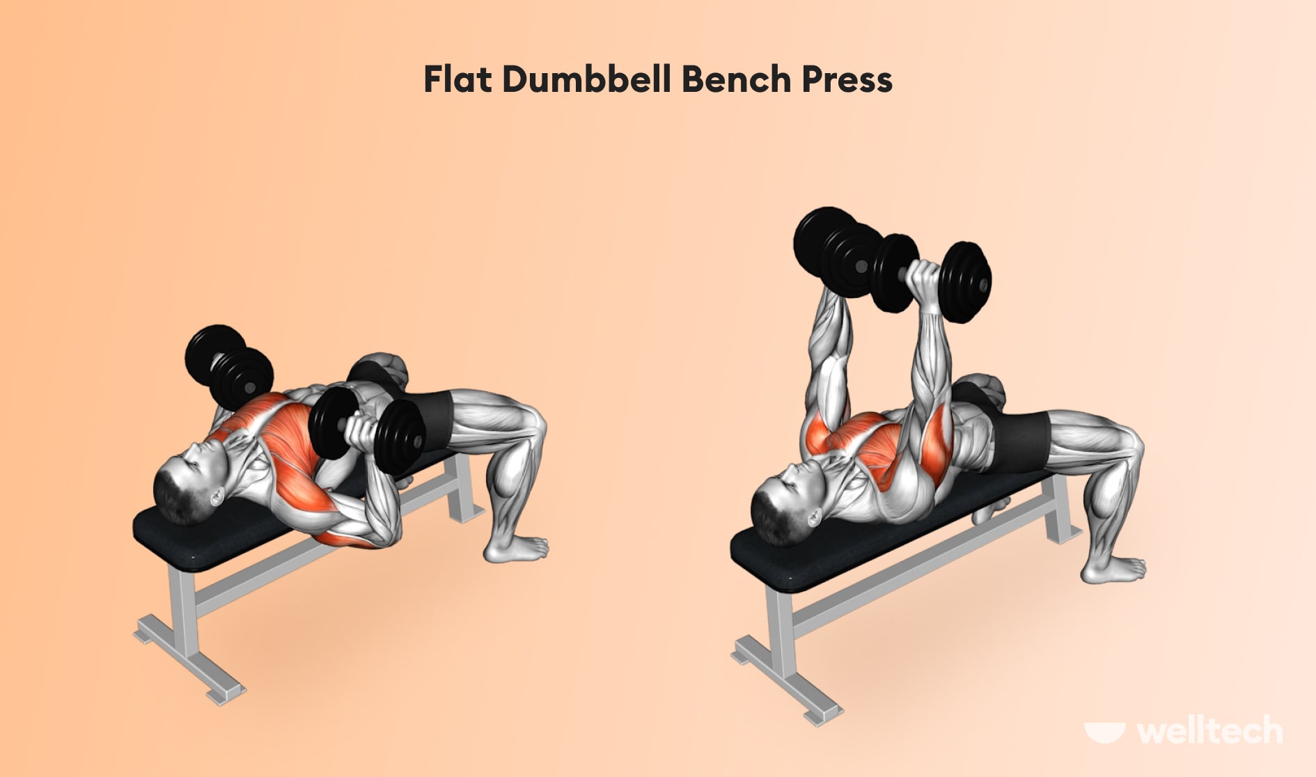 https://welltechdev.wpengine.com/wp-content/uploads/2022/12/Flat-Dumbbell-Bench-Press_chest-and-shoulder-workout.jpg