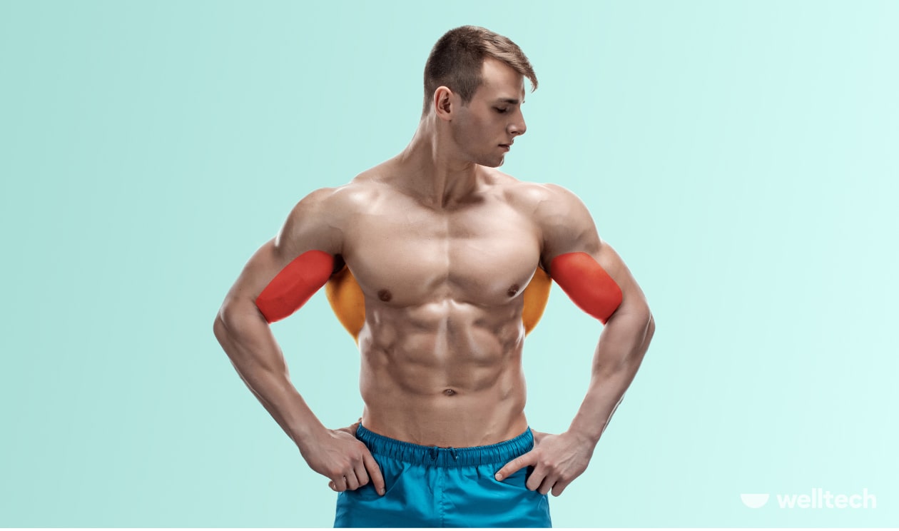 Back and Bicep Workout for Muscle Gain