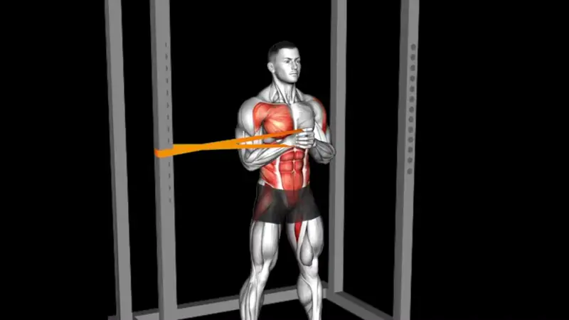 Pallof Press V-taper