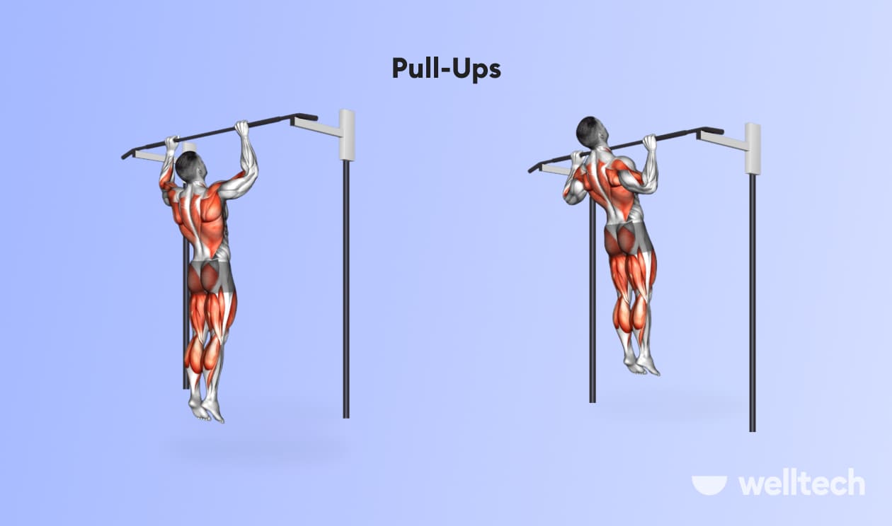 https://welltechdev.wpengine.com/wp-content/uploads/2023/02/Pull-Ups_back-and-shoulder-workout.jpg