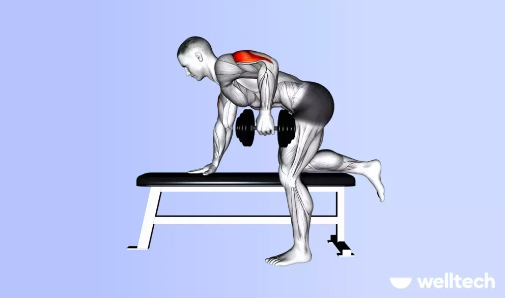 https://welltechdev.wpengine.com/wp-content/uploads/2024/12/Dumbbell-tricep-kickback-best-dumbbell-exercises-for-a-full-body-workout-992x586.webp