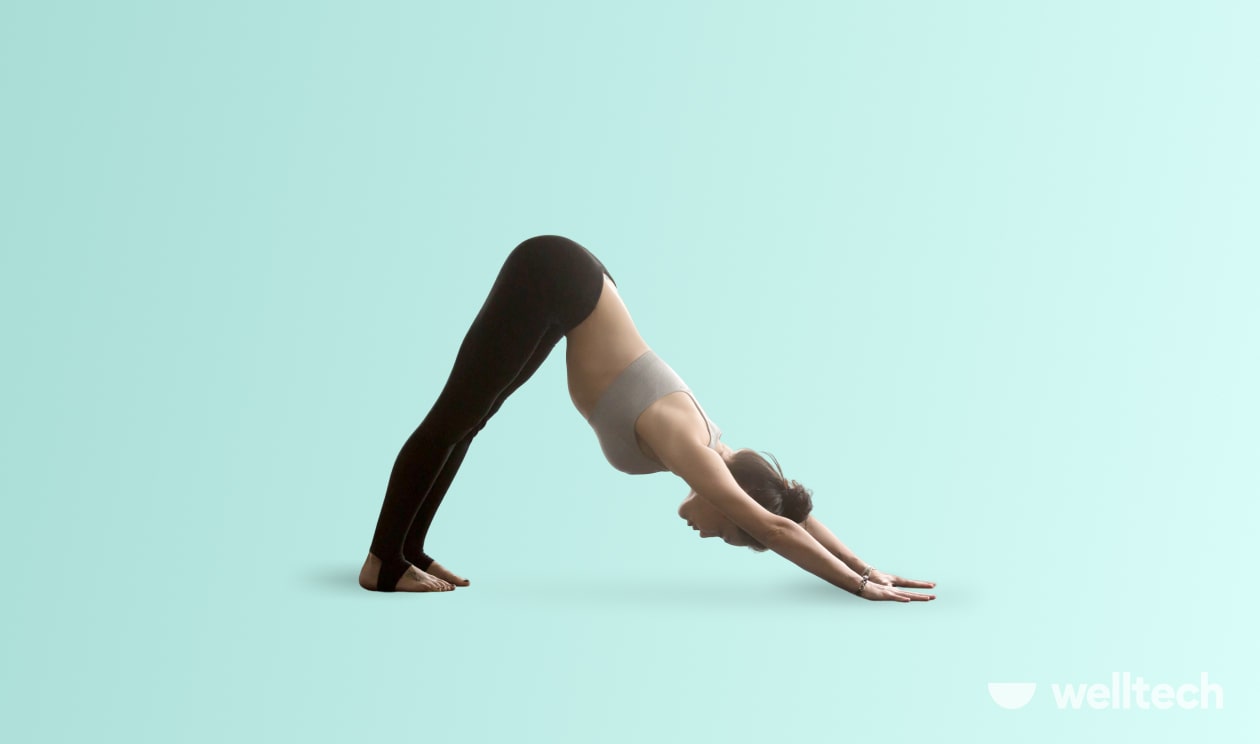 https://welltechdev.wpengine.com/wp-content/uploads/2023/05/Downward-Facing-Dog-Adho-Mukha-Svanasana-min.jpg