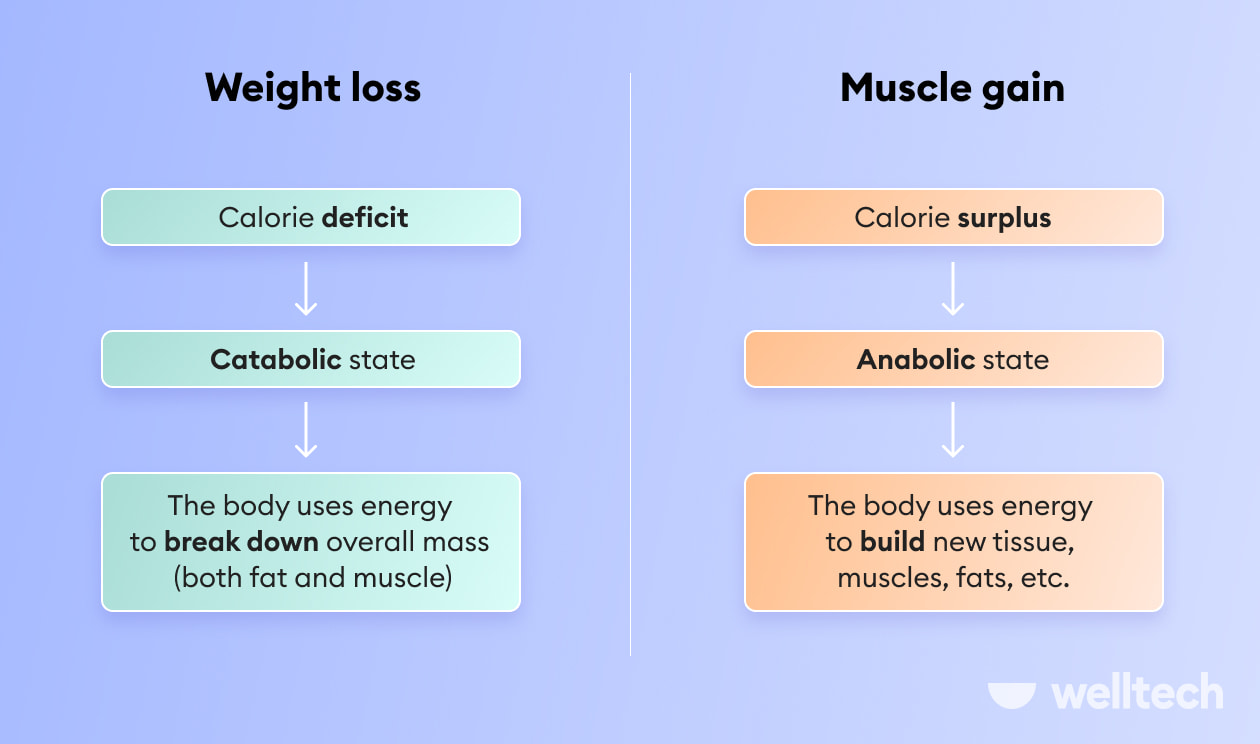 https://welltechdev.wpengine.com/wp-content/uploads/2022/08/weight-loss-vs-muscle-gain-min.jpg
