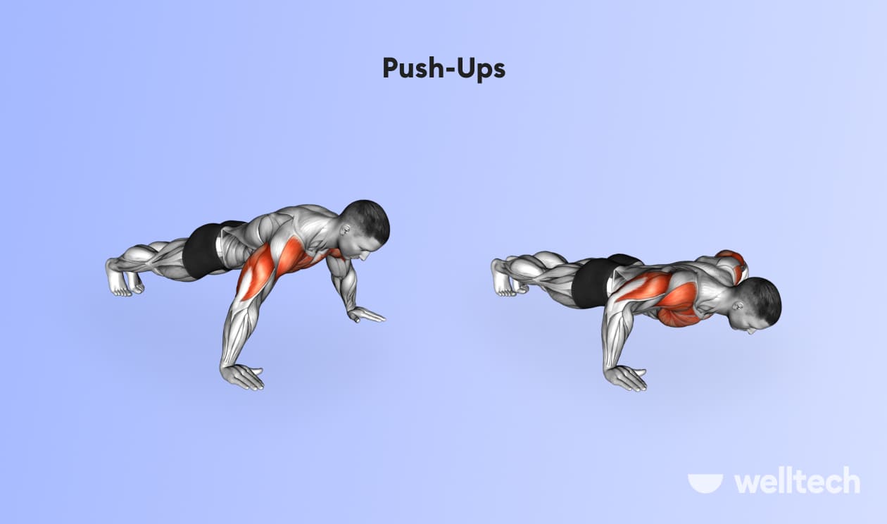 https://welltechdev.wpengine.com/wp-content/uploads/2023/02/Push-Ups_back-and-shoulder-workout.jpg