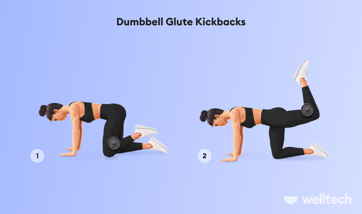 https://welltechdev.wpengine.com/wp-content/uploads/2022/11/8.-Dumbbell-Glute-Kickbacks_dumbbell-glute-exercises.jpg