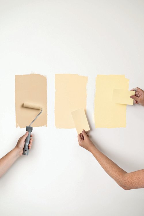 armen die een verfrol en kleurkaartjes vasthouden tegen een witte muur met gele, beige en bruine streep