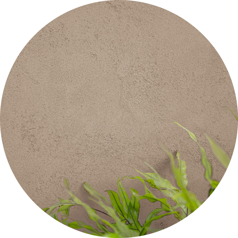 Une image ronde montre un mur beige texturé, avec un feuillage vert et feuillu partiellement visible dans le coin inférieur droit.
