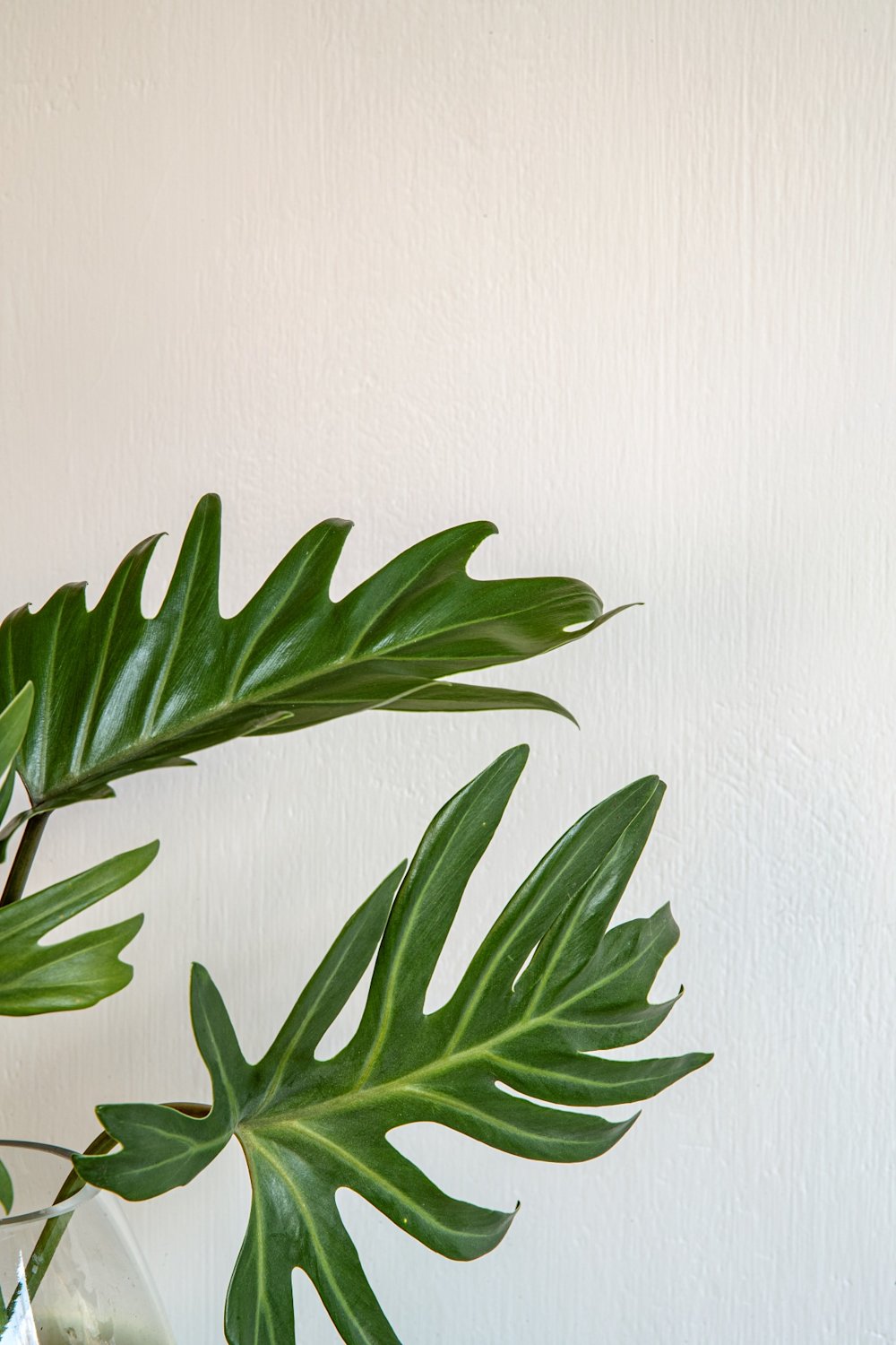 B2B - inspiratiegalerij - Limestone brush - Geert Deleersnijder - Stefanie Faveere - woonkomer - wit 4