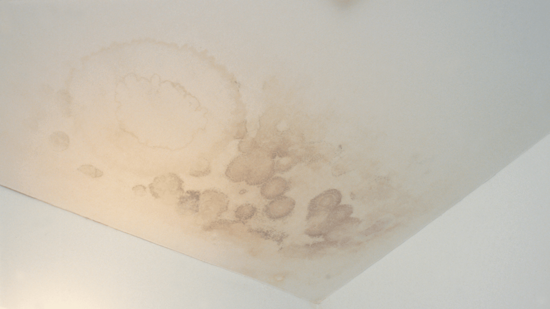 Des taches d'eau brunes s'étendent sur un plafond blanc, ce qui indique un éventuel dégât des eaux ou une fuite dans le coin de la pièce.