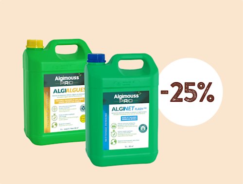 BOSSflash APR-MEI 26 algialgues