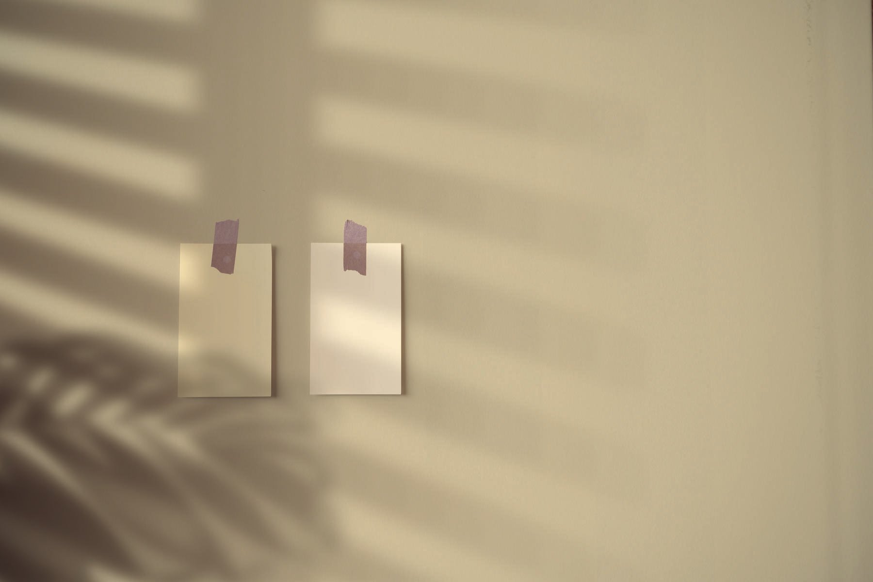 kleurkaartjes tegen een groene muur en schaduw