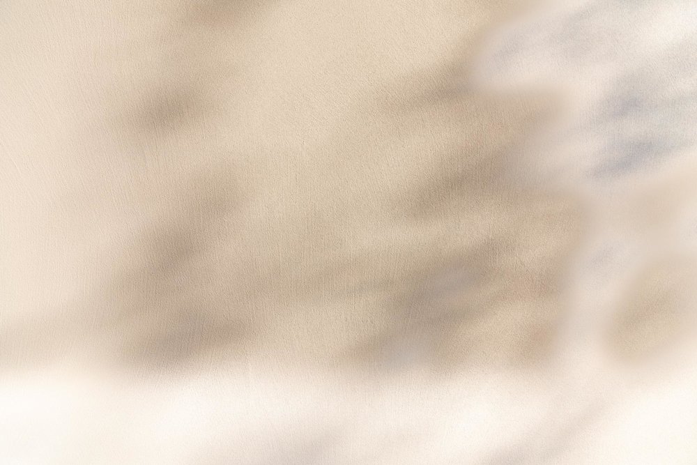 B2B - inspiratiegalerij - BOSSclima - Stone art - stuc - Oxiprom - villa - gevel - wit 23