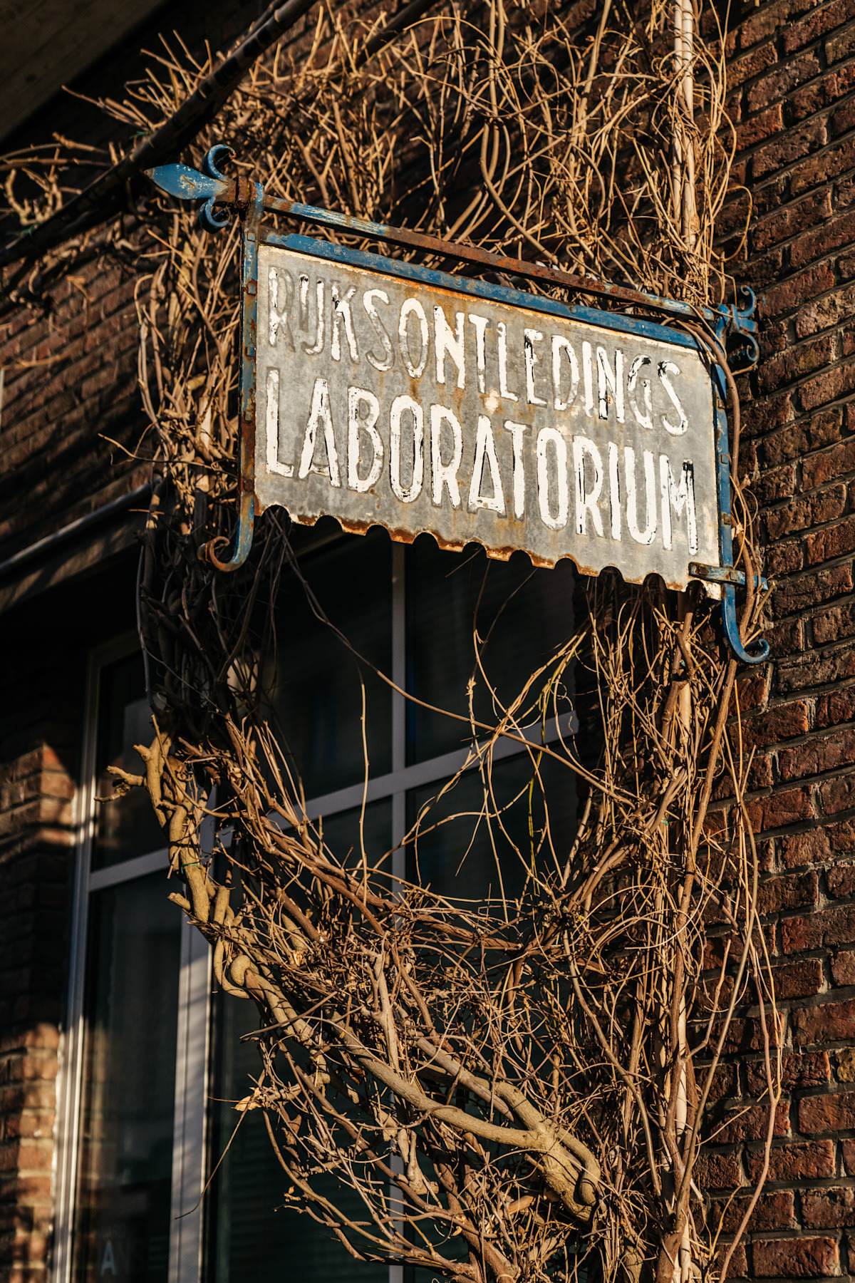 Een oud metalen bord met de tekst "RUKSONTLEDINGS LABORATORIUM" hangt aan een bakstenen muur, omringd door droge, bladerloze wijnranken.