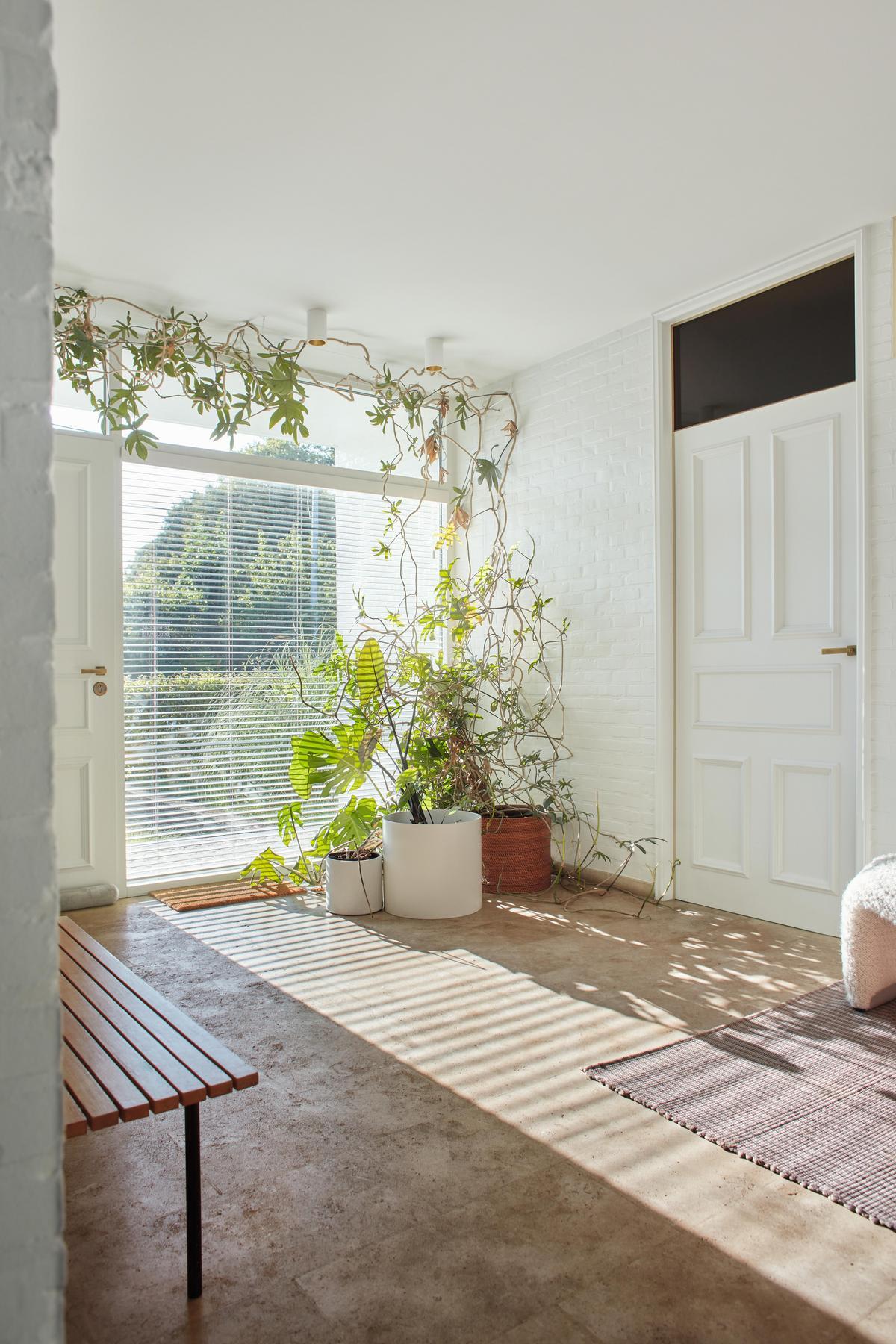 inspiratiebeeld magazine herfst 2023 opfrissen bakstenen muur