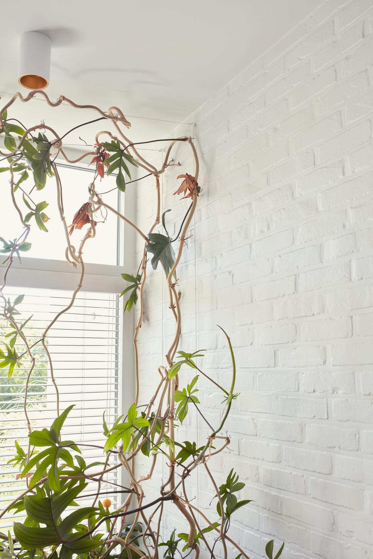 inspiratiebeeld magazine herfst 2023 ruwe baksteen opfrissen