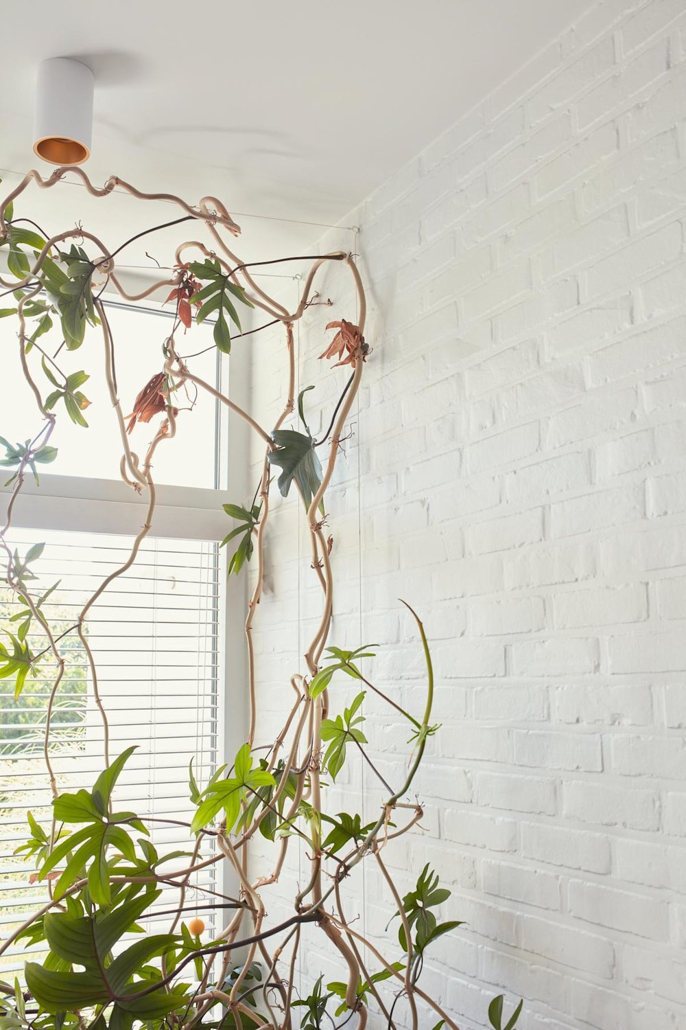 inspiratiebeeld magazine herfst 2023 ruwe baksteen opfrissen