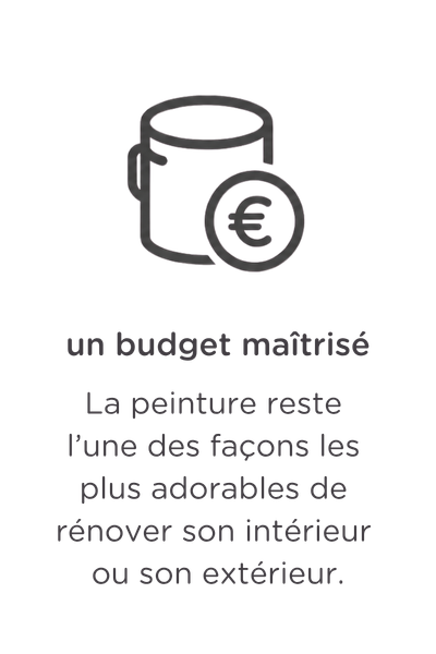Image d'un pot de peinture arborant le symbole de l'euro et un texte en néerlandais qui dit : « Budget limité. Souvent, un seul pot de peinture suffit pour faire une différence visible. ».