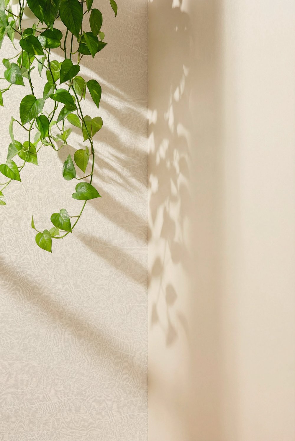 bimu - behang - woonkamer – Masureel Miri Oyster – beige – WE M87 pure linen - detailbeeld - coloramagazine