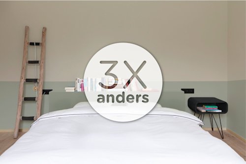 Minimalistische slaapkamer met een netjes opgemaakt bed, zwevende plank met boeken, houten ladder en klein zwart bijzettafeltje tegen lichtgekleurde muren. In de overlappende tekst staat "3X anders.