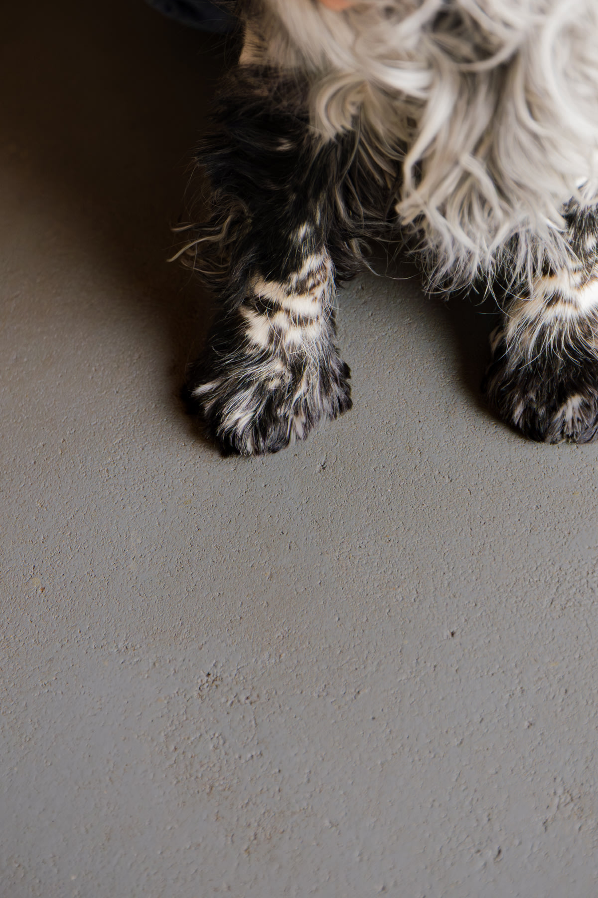 verf – vloer – grijs – WE Z080 grey rock - Epofloor – coloramagazine