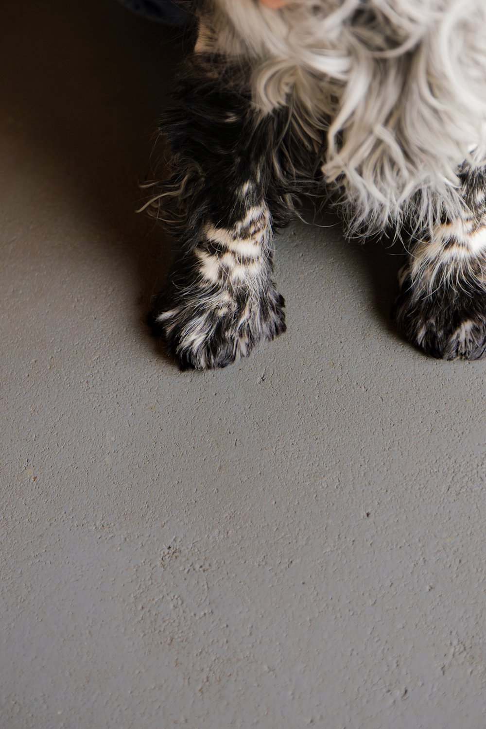 verf – vloer – grijs – WE Z080 grey rock - Epofloor – coloramagazine