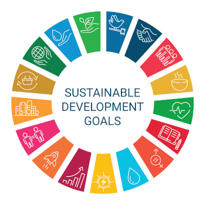 Global citizenship education and the Sustainable Development Goals
