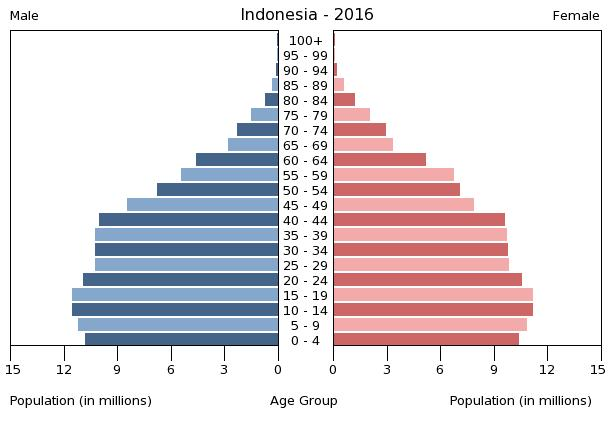 transisi demografi-indonesia