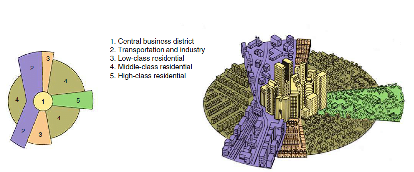 struktur kota-sektoral