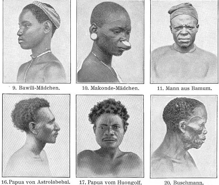 ras manusia-negroid