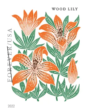 Mountain Flora Framed Stamps - Pasqueflower