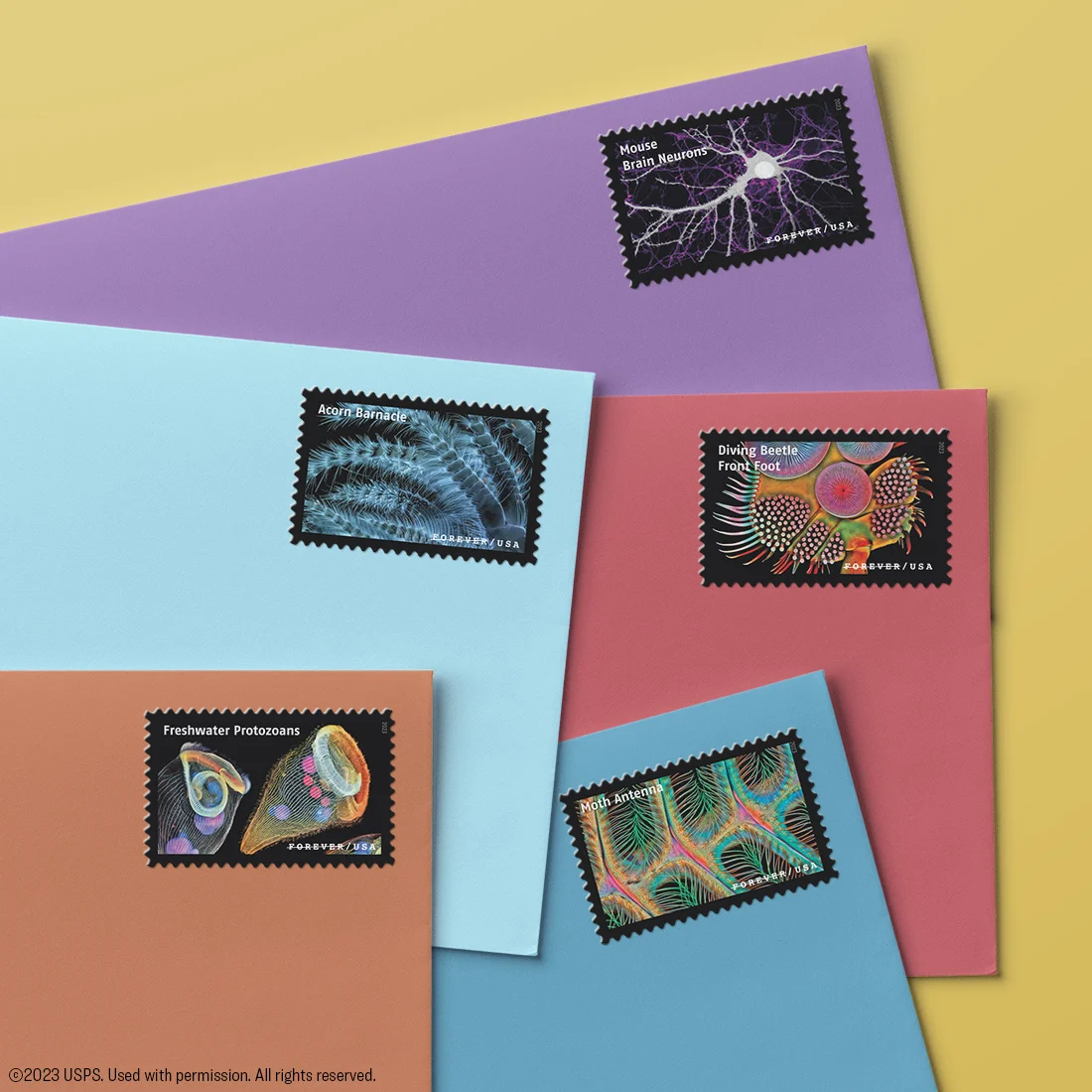 Life Magnified Stamps