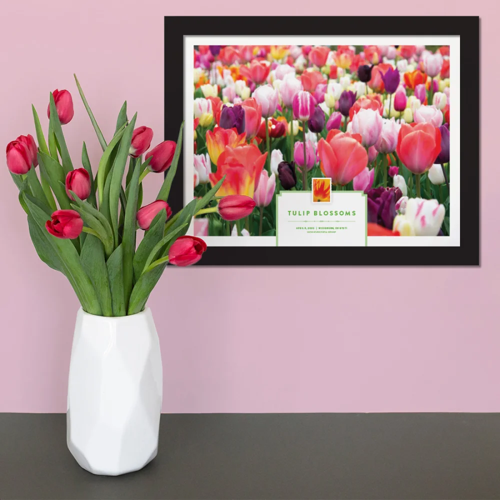 Tulip Blossoms — Stamp Information