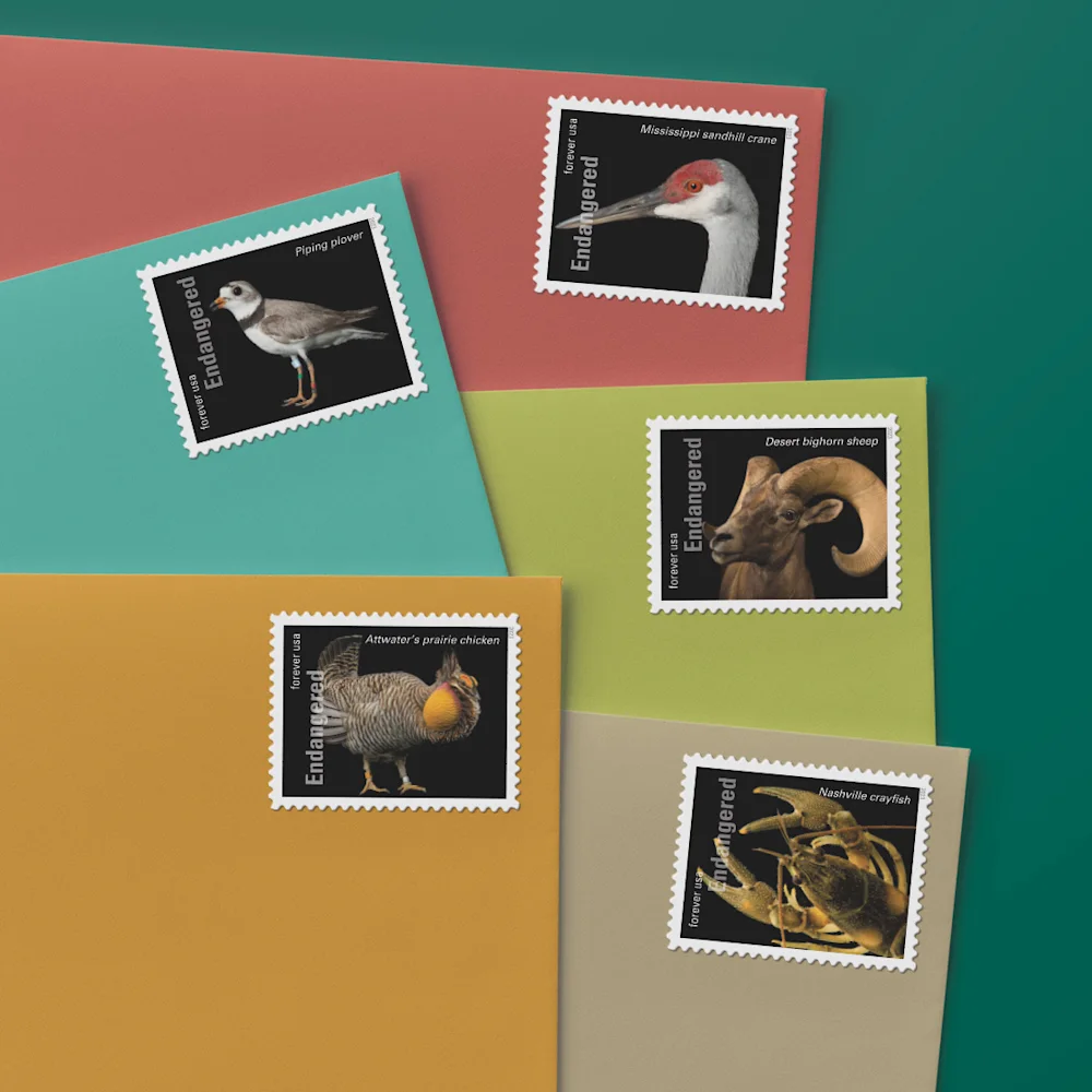 Endangered Species — Stamp Information