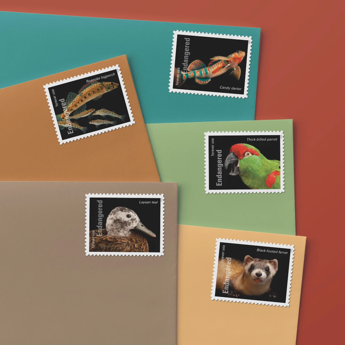 Endangered Species — Stamp Information