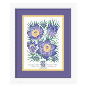 Mountain Flora Framed Stamp - Pasqueflower