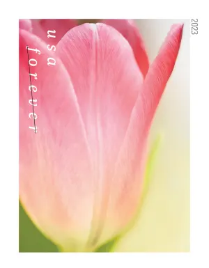 Tulip Blossoms — Stamp Information