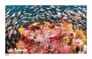 National Marine Sanctuaries Stamp 11