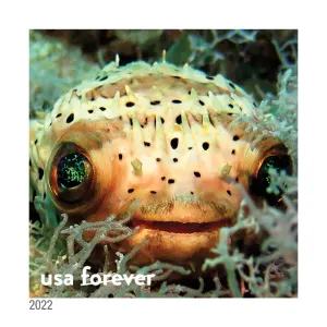 National Marine Sanctuaries Stamp 5