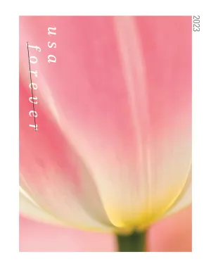 TulipBlossoms-StrikedStamp-1