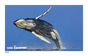National Marine Sanctuaries Stamp 16
