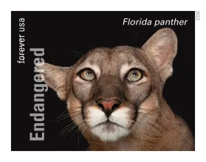 New stamps honor endangered species in all 50 states