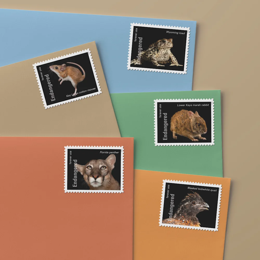 Endangered Species — Stamp Information